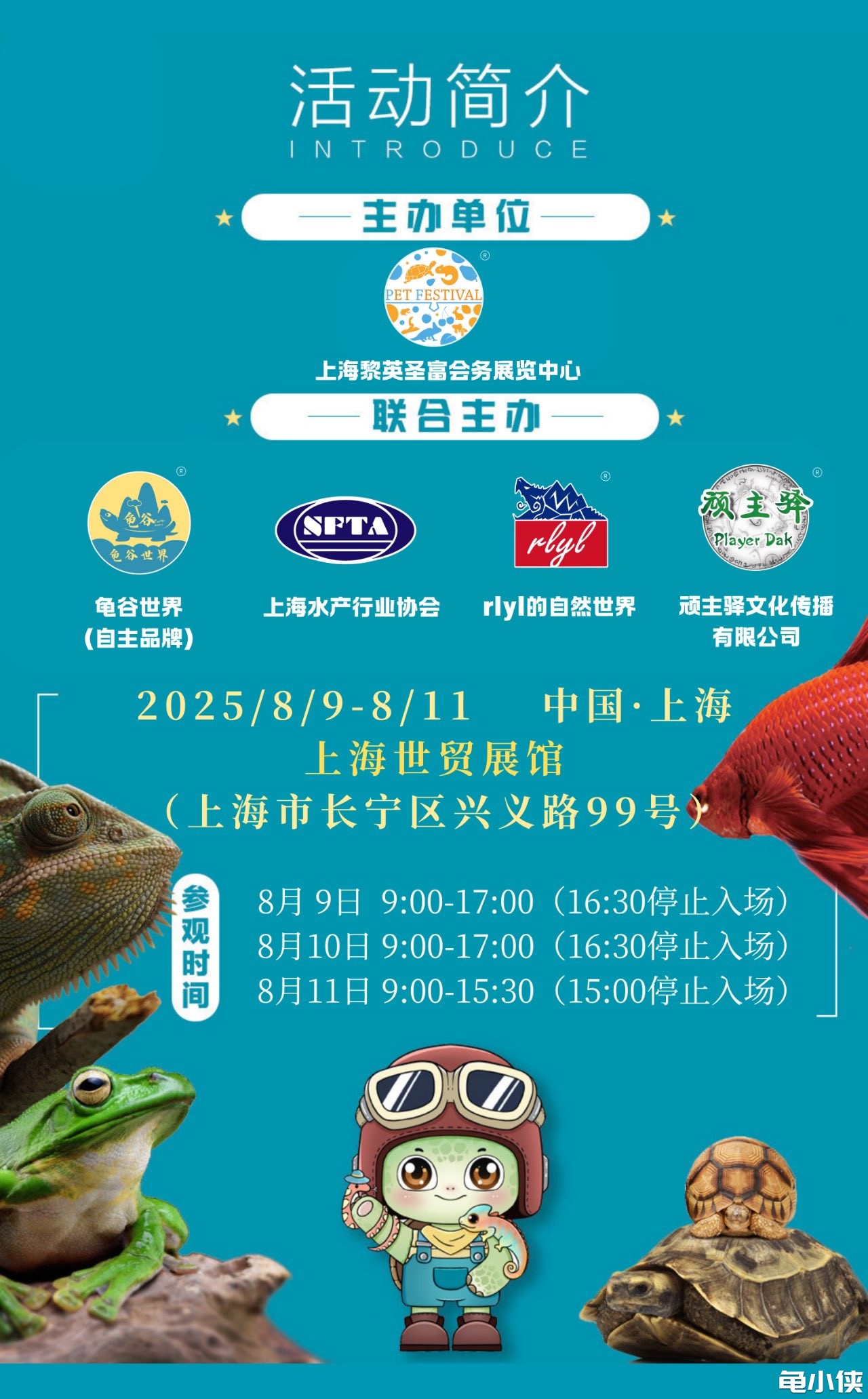 上海4.jpg