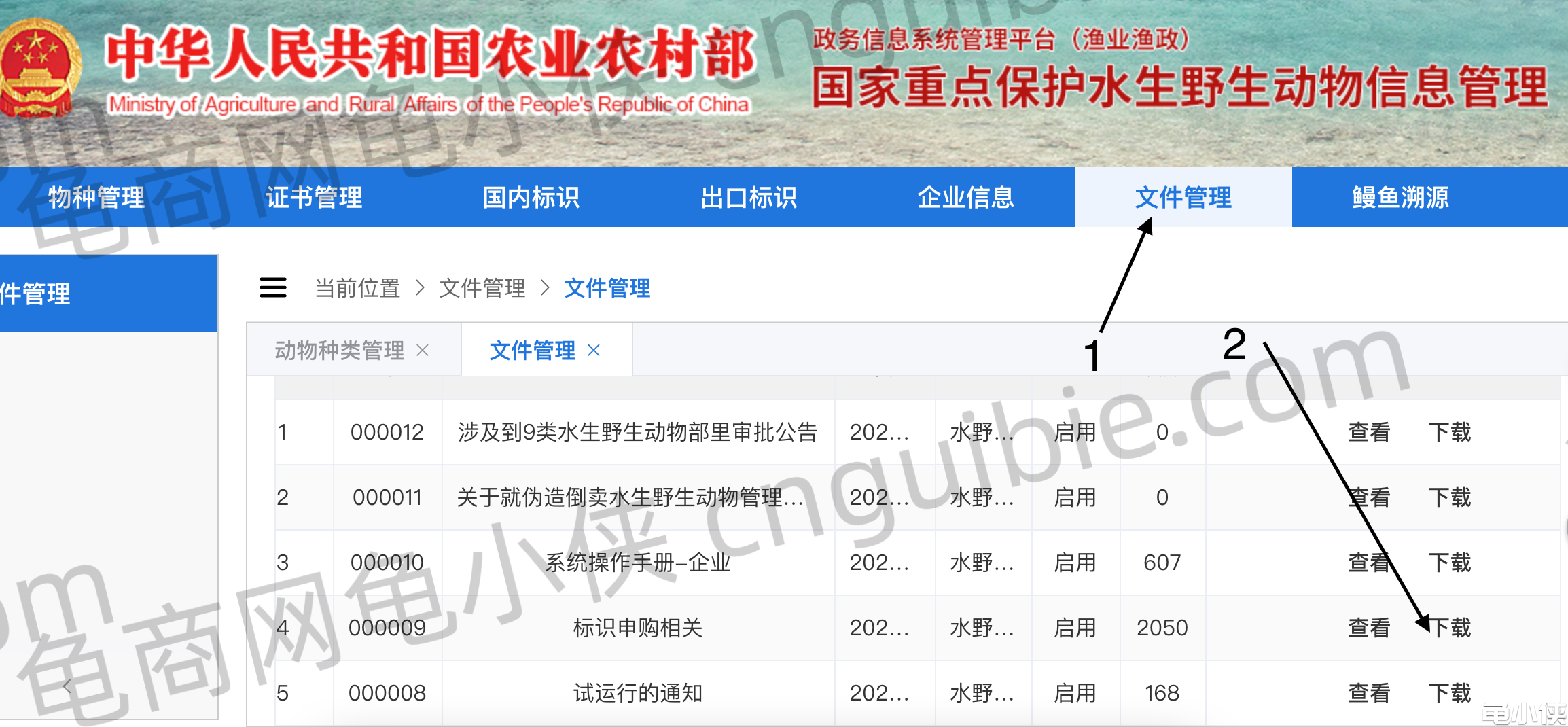 标识签 龟 标识签 龟