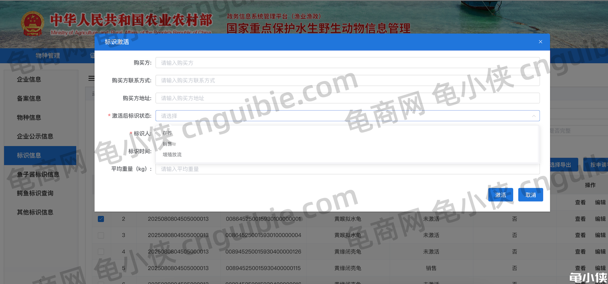 龟鳖标识激活2